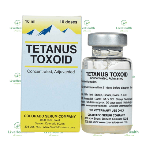 Tetanus Toxoid Vaccine